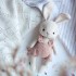 Patron lapin au crochet PDF – Doudou bébé, niveau débutant